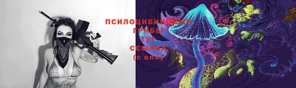 метамфетамин Алексеевка