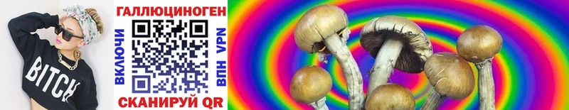 маркетплейс состав Дюртюли Галлюциногенные грибы Cubensis